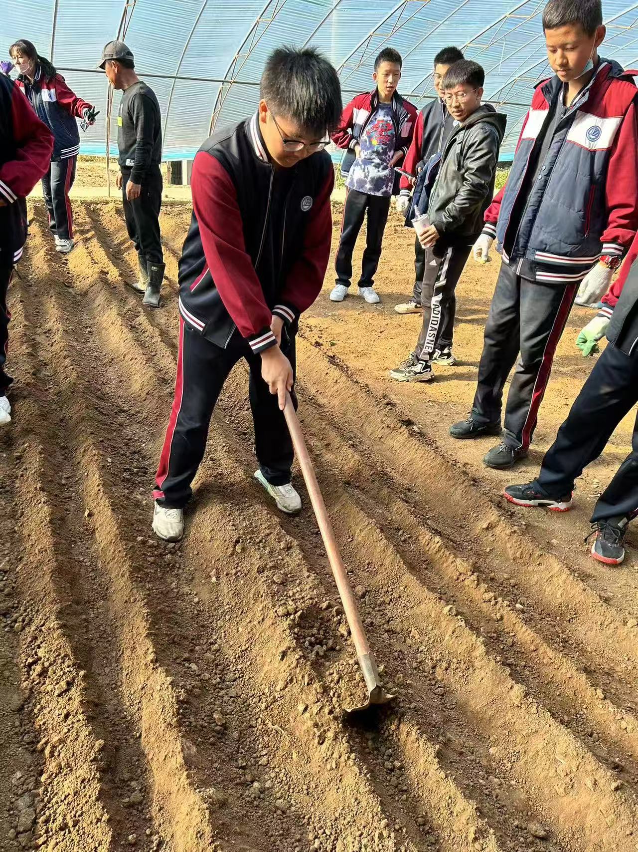 School-organized agricultural activity