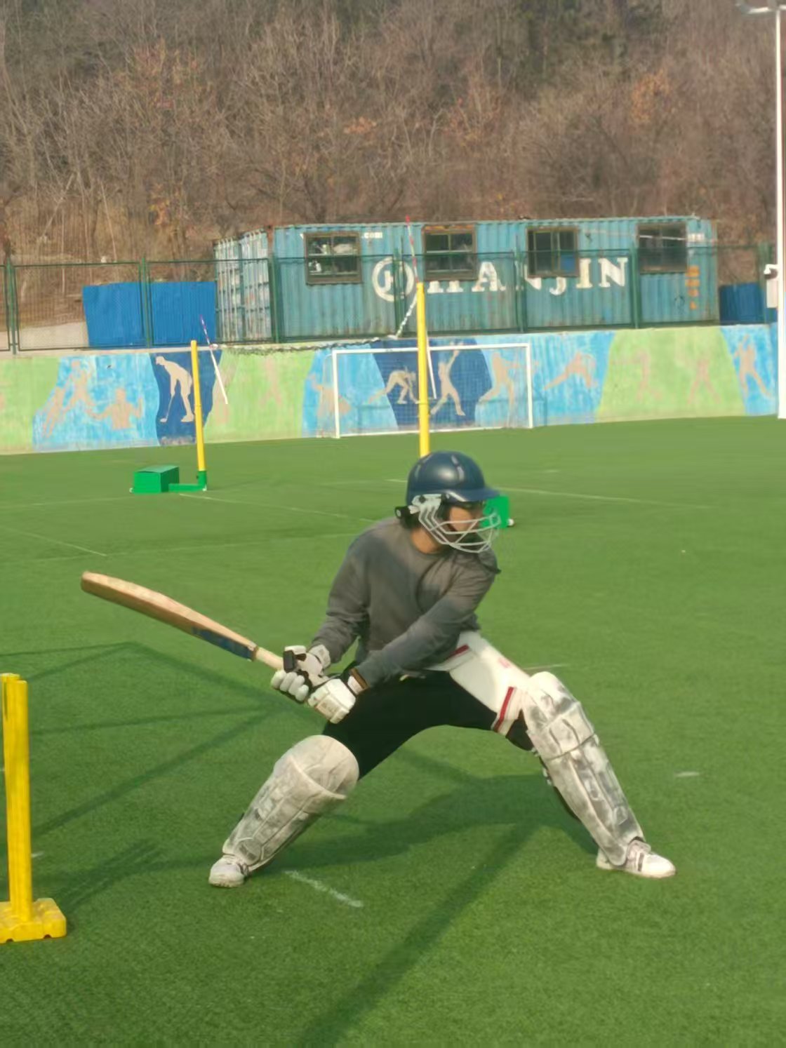 Cricket