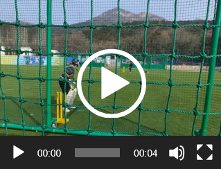 Cricket